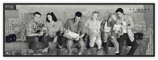 Nástenný plagát Priatelia na tráme 158x35 cm