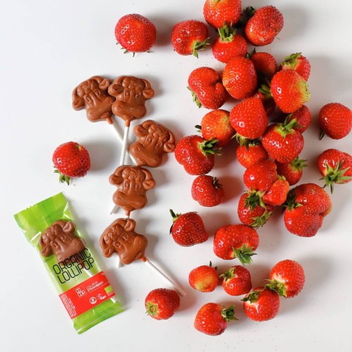 Jahodová čokoládová lízanka, bezlaktózová, bezlepková VEGAN BIO KAKAKO 15g