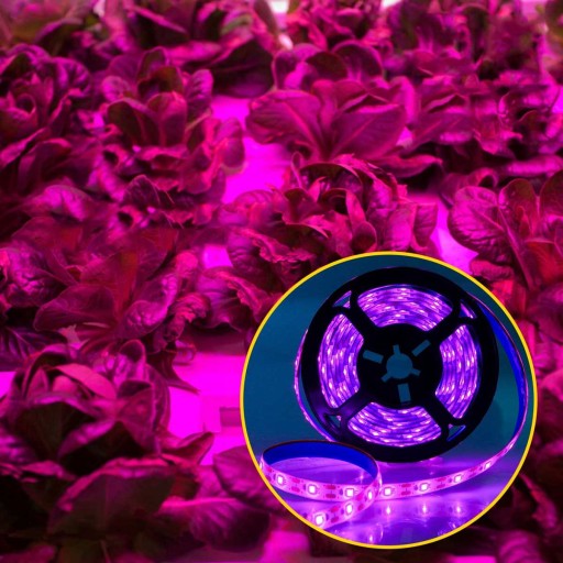 LED PÁSOVÉ OSVETLENIE PRE RAST RASTLÍN UV VODEODOLNÉ 100CM 60LED