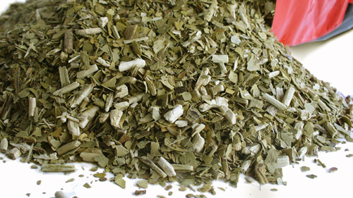 Yerba Mate Rosamonte 500g 0,5kg