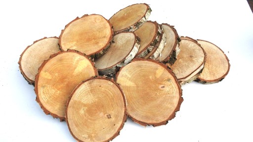 DREVA DREVA, KOTOUČ BREZA PEČIATKY, 9-14CM, 1KS