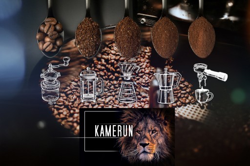Čerstvo pražené kávové zrná 100% Arabica Kamerun 50G pre kávovar na espresso