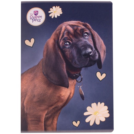 KONTROLOVANÝ ŠKOLSKÝ ZÁPISNÍK SWEET PETS A4/60K REXUS