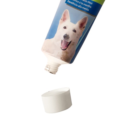 PASTA NA ČISTENIE ZUBOV PRE PSOV MINT TRIXIE DENTAL CARE 100G