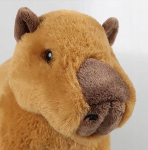 PLYŠOVÁ HRAČKA KAPYBARA MASKOT KAPYBARA PRE DETI HIT 20CM