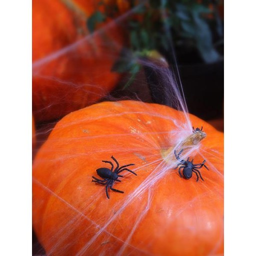 DEKORATÍVNA pavučina + HALLOWEENSKÉ PAVÚKY