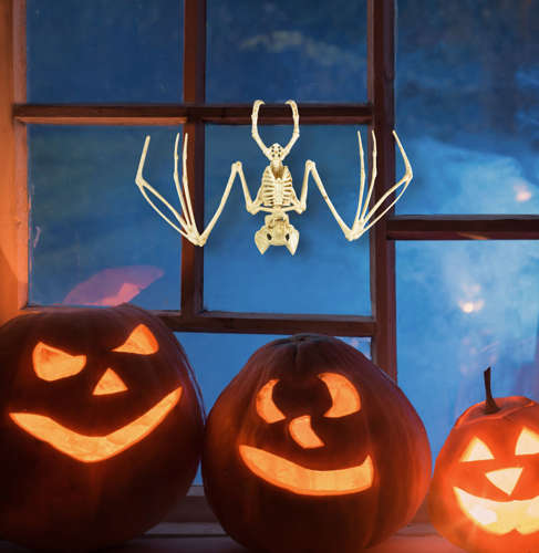 Halloweenska dekorácia Kostra netopiera