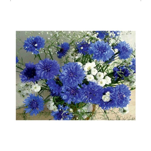 Diamantové vyšívanie Diamantové kvety 30x40cm DPX-02866