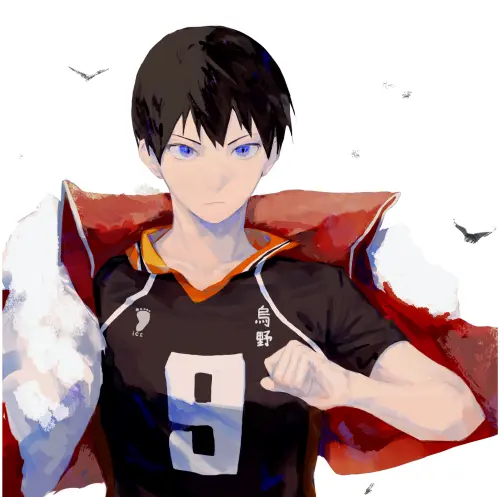 Anime Manga Haikyuu plagát hy_012 A2 (vlastné)