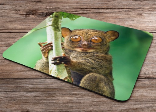 Podložka pod myš WILD ANIMALS MONKEY