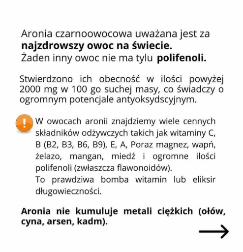 Sušená ARONIA 500g čisté Flavo