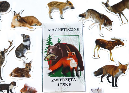 Spoznávam magnetky na chladničku LESNÉ ZVIERATÁ