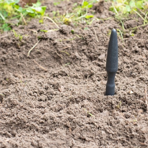 Seedling Piknik Dołownik Gardenowo