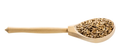 Osemená ostropestreca mariánskeho 1kg prírodné ČERSTVÉ