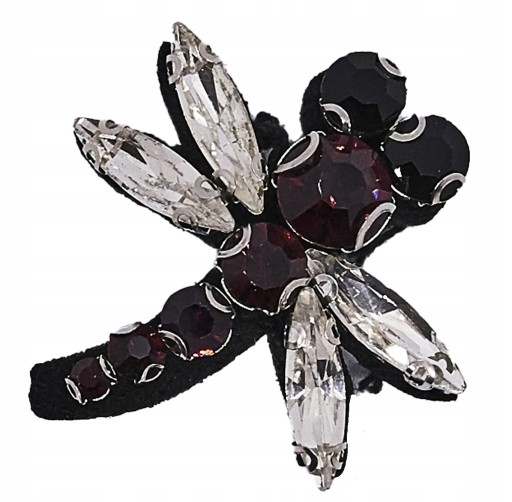 Nášivka DRAGONFLY INSECT na prišitie na ZIRKÓNY