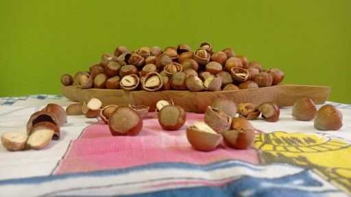 Poľské lublinské lieskové orechy v škrupine 1 kg zber 2023