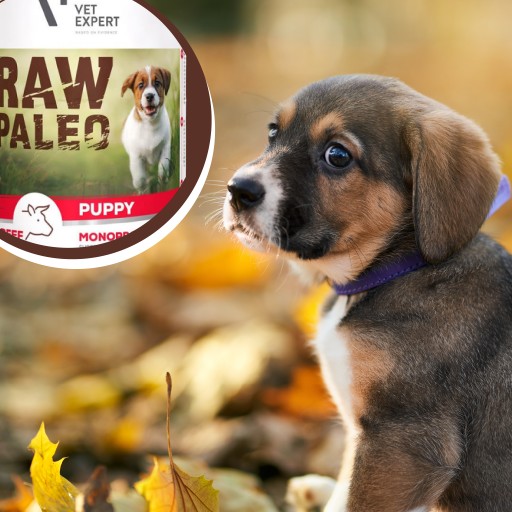 Monoproteínové mokré krmivo pre šteňatá s hovädzím mäsom Raw Paleo Puppy 400g