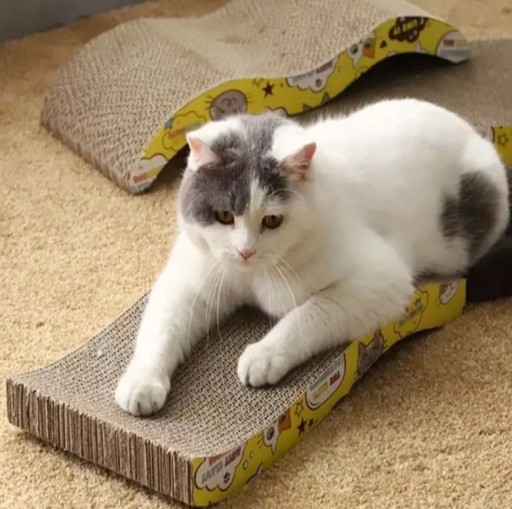 WAVE SCRATCRATOR, veľký, kartón + CATNIP