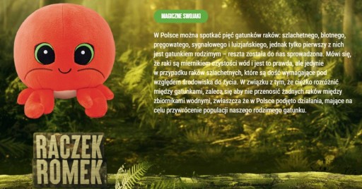 SWOJAK GANG MAGIC SWOJAKI RACZEK ROMEK