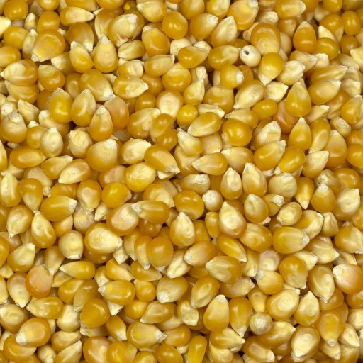 POPCORN POPCORN kukurica, zrno bez soli, 200g