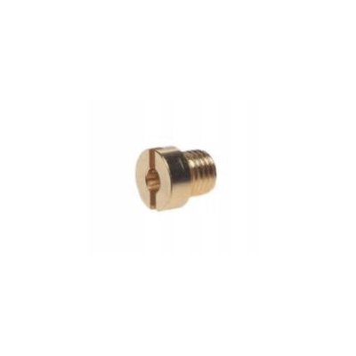 60 DÝZA KARBURÁTORA 6 mm 1 ks