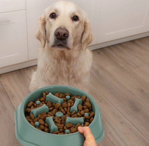 Protišmyková kostná spomaľovacia miska pre DOG 18, zelená
