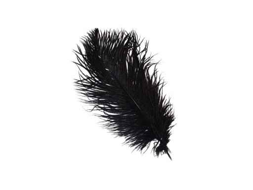 EROTICKÉ PIERKO Z PŠTROSA 20 CM PREDOHRA