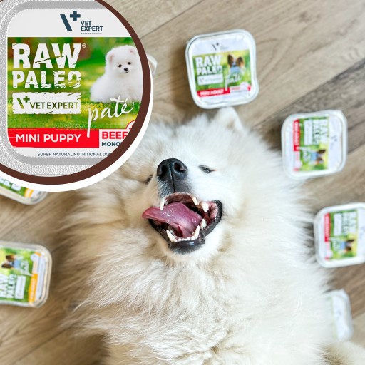Mokré krmivo pre šteňatá malých plemien s hovädzím mäsom Raw Paleo Mini Puppy 150g