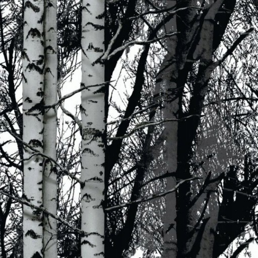 Samolepiaca dyha 45 cm breza 200-3197