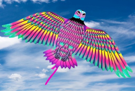 KITE BIRD 4050