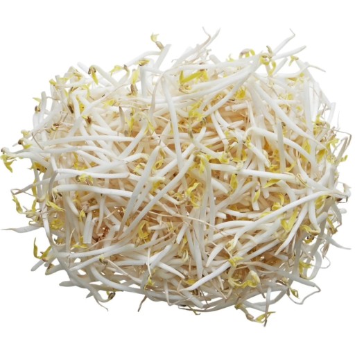 Čínske klíčky mungo fazuľové klíčky v marináde v plechovke 425g KIER
