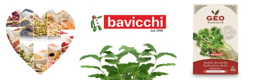 SEMIENKA PRE KLÍČKY REĎKOVKY, ZELENINA 20G BAVICCHI