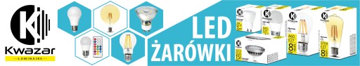 LED žiarovka E27 Filament 8W Edison G80 BUBBLE 8cm