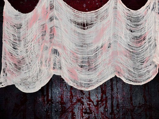 Sieťka Bloody halloween 76x228cm