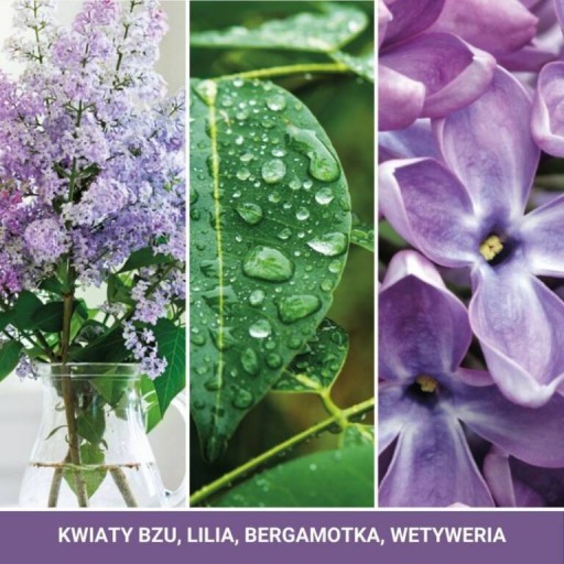 Lilac Blossoms - Yankee Candle - mini sviečka