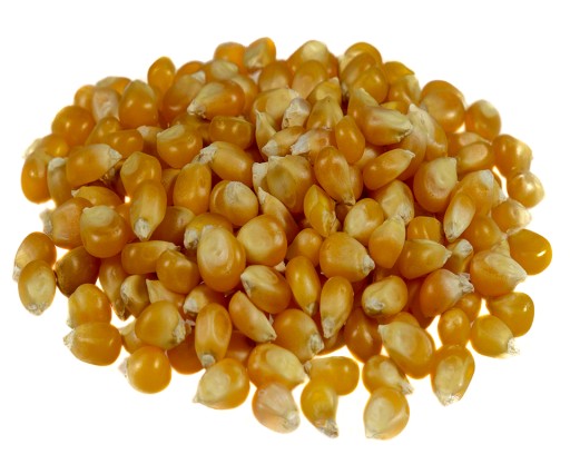 Popcorn Orzeszek 150 g