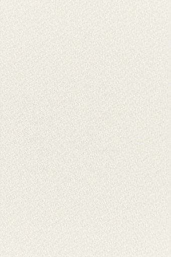 Papier Tintoretto 250g Neve ecru - 10A4