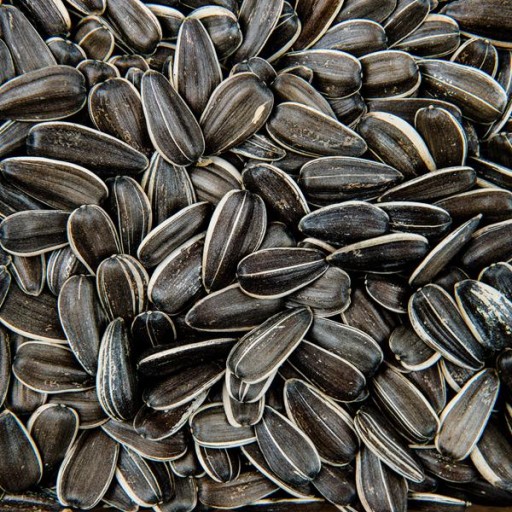 SLNEČNICA PRAŽENÁ SOLENÁ 800g veľké semienka