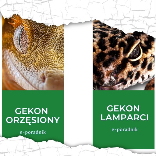 ALEGIA - POTRAVINY PRE OKRASNÉ RYBY TYČINKY HODNOTA 3L