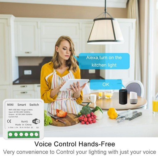 RELÉOVÝ MODUL MOBILNÝ SPÍNAČ WIFI ZÁSUVKA TUYA SMART 16A BarON