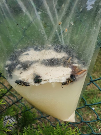 Veľká XXL návnada pre Sideon Fly Trap Fresh Bag