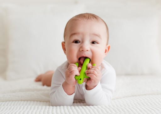 GILIGUMS Teether Cactus Green