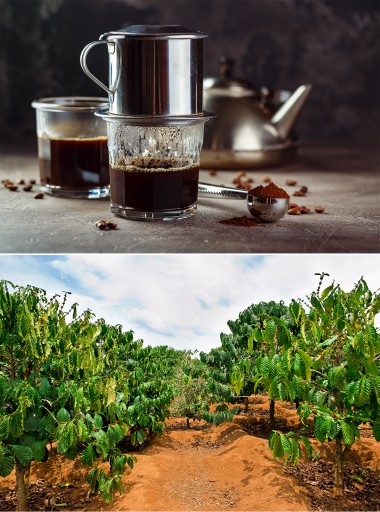 Čerstvo upražená káva VIETNAM ROBUSTA 250g - mletá