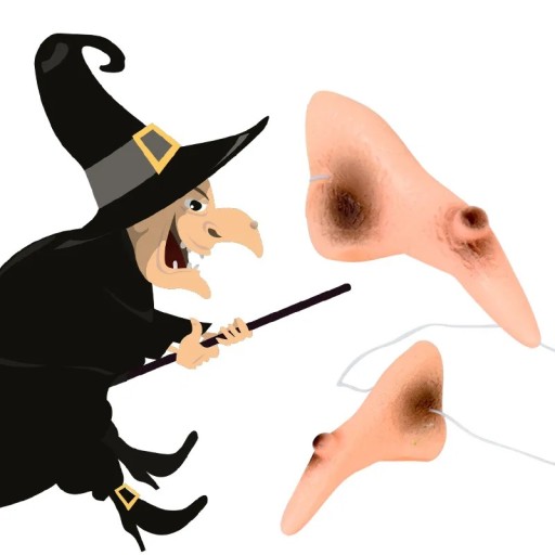 ČARODEJNICKÝ NOS silikónový čarodejnícky 8 cm prevlek HALLOWEEN