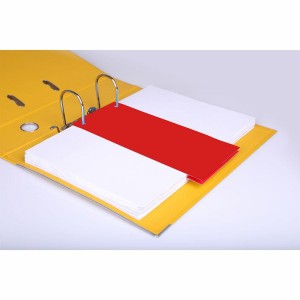 VLOŽKY 1/3 A4 ESSELTE MAXI PAPIER MIX FARBY.
