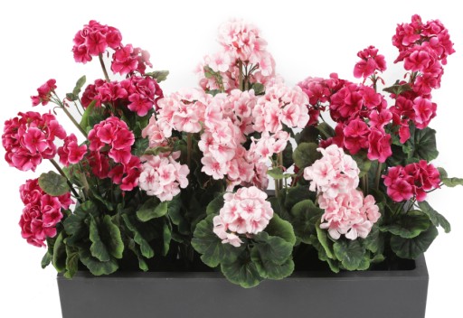 Umelé kvety Geranium na balkónovú terasu - biela