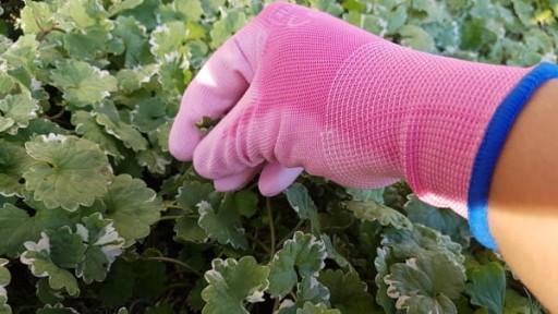 Rukavice Reis RHOTPINK-PU veľkosť 9 1 pár