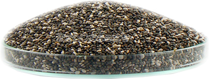 Targroch Chia semienka šalvia španielska 1kg