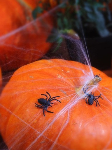 SPIDER SPIDER BLACK SET 10 KS. HALLOWEEN