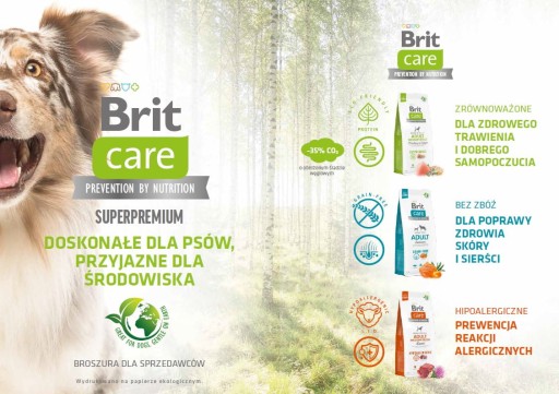 Brit Care Dog Sustainable Adult Large Insects 1kg